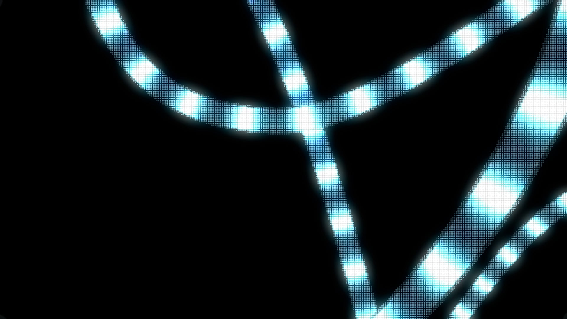 phv_02.jpg